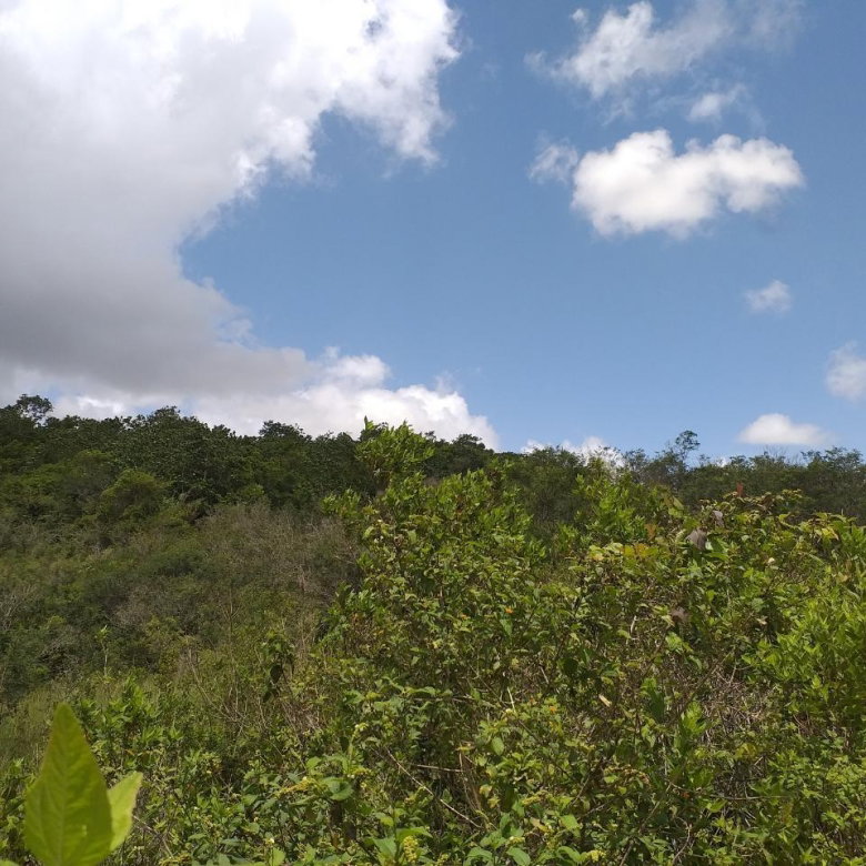 First image of Lot 2 Knockpatrick in Knockpatirck, Manchester, Jamaica - property is For Sale