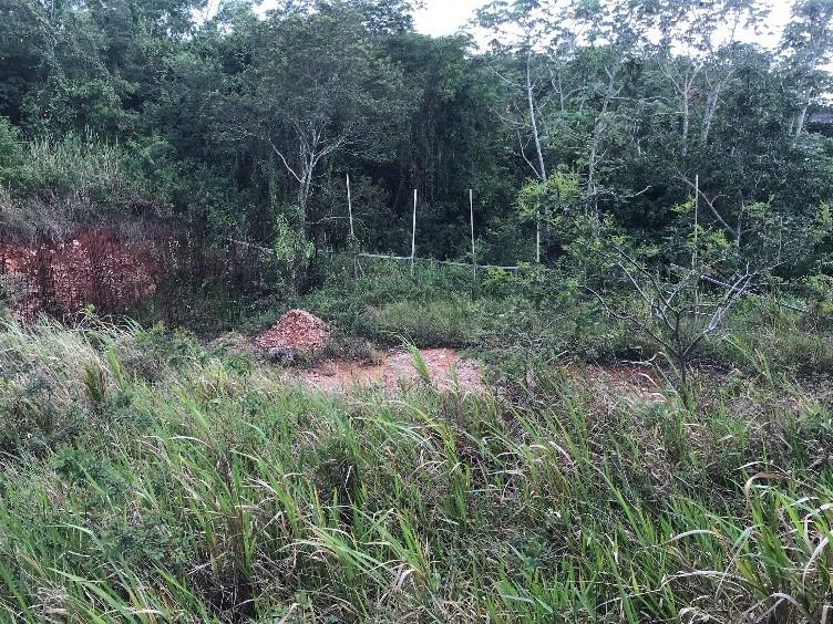 First image of 4 Land Part of Knockpatrick in Knockpatirck, Manchester, Jamaica - property is For Sale