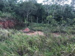 First image of 4 Land Part of Knockpatrick in Knockpatirck, Manchester, Jamaica - property is For Sale