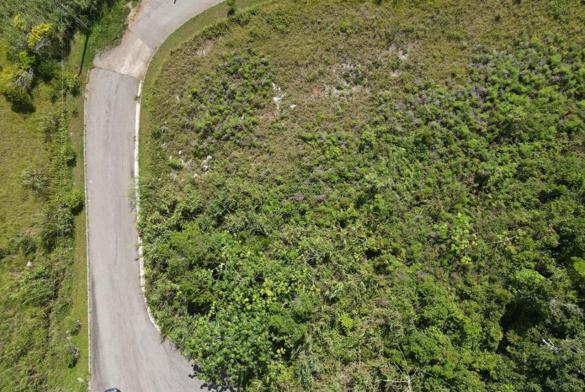 Fifth image of Lot 52 Hopeton Pen The Ridge in Hat Field, Manchester, Jamaica - property is For Sale