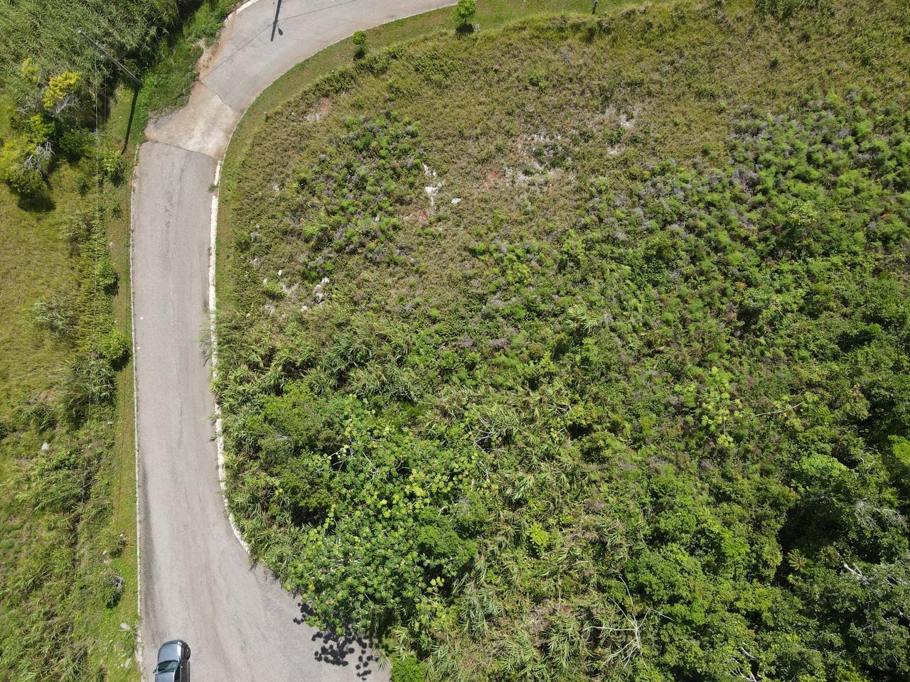 Fifth image of Lot 52 Hopeton Pen The Ridge in Hat Field, Manchester, Jamaica - property is For Sale