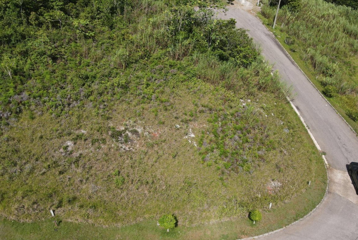 Sixth image of Lot 52 Hopeton Pen The Ridge in Hat Field, Manchester, Jamaica - property is For Sale