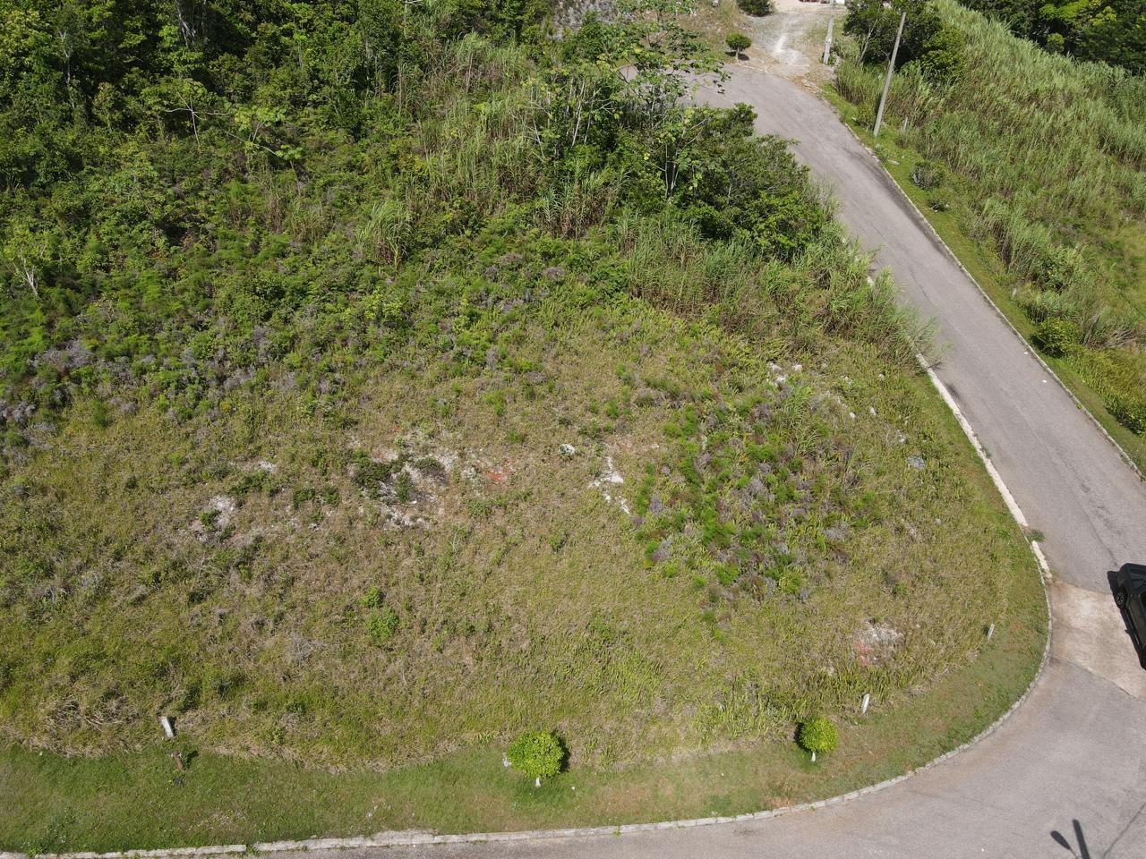 Sixth image of Lot 52 Hopeton Pen The Ridge in Hat Field, Manchester, Jamaica - property is For Sale