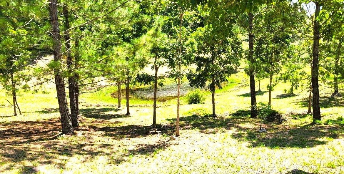 Fourteenth image of 34 Bonnyvale Drive in Moorlands Phase1&2, Manchester, Jamaica - property is For Sale