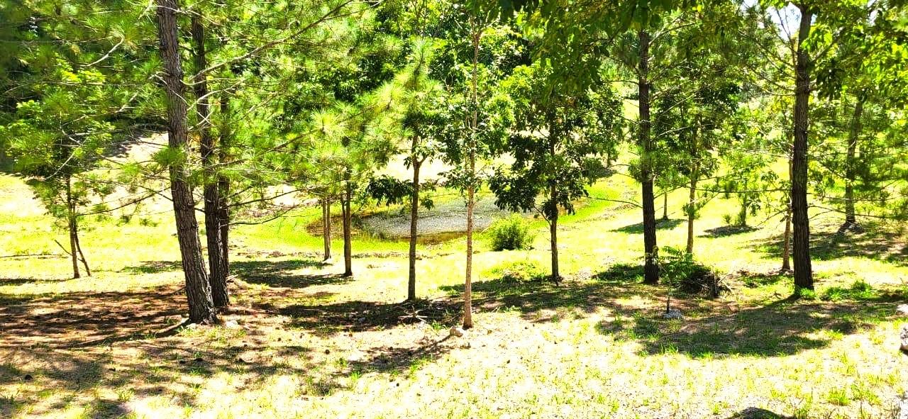 Fourteenth image of 34 Bonnyvale Drive in Moorlands Phase1&2, Manchester, Jamaica - property is For Sale