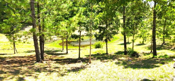 Fourteenth image of 34 Bonnyvale Drive in Moorlands Phase1&2, Manchester, Jamaica - property is For Sale