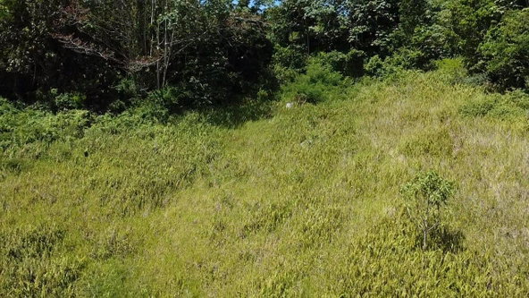 Sixth image of 34 Bonnyvale Drive in Moorlands Phase1&2, Manchester, Jamaica - property is For Sale