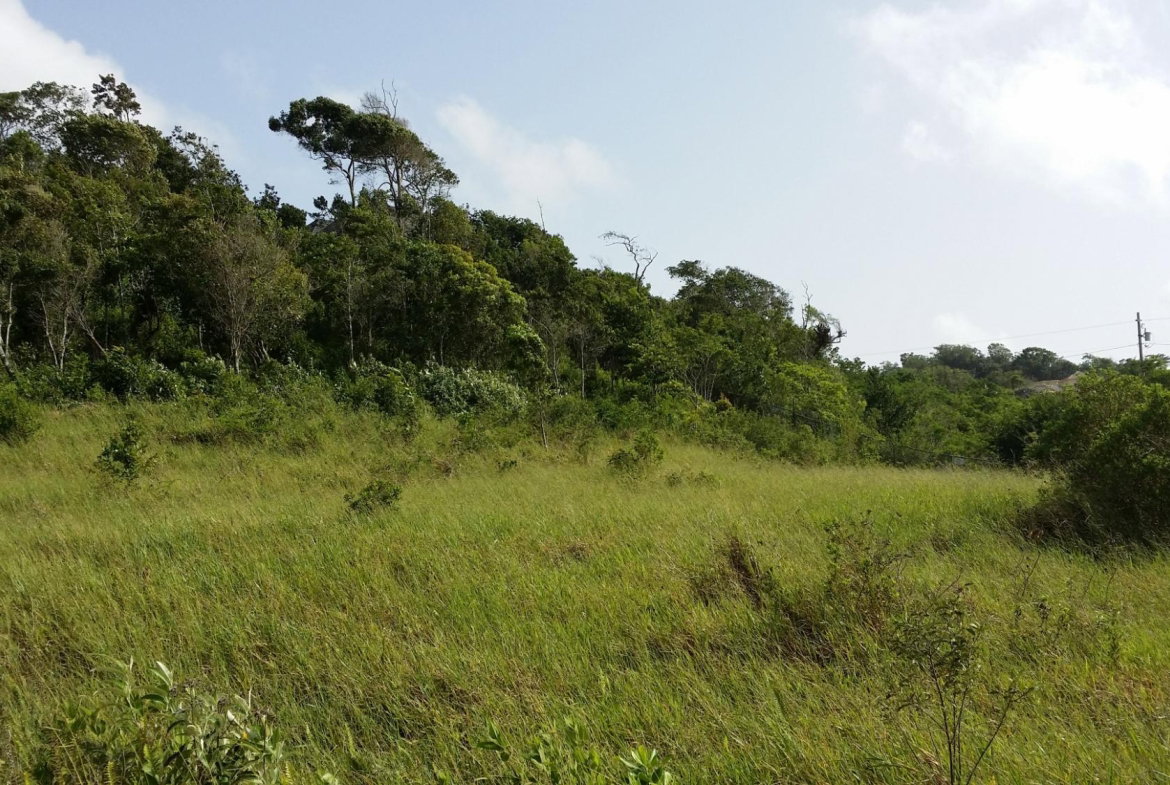 Fifth image of 158 Moorlands Manor Estate, m in Moorlands Phase1&2, Manchester, Jamaica - property is For Sale