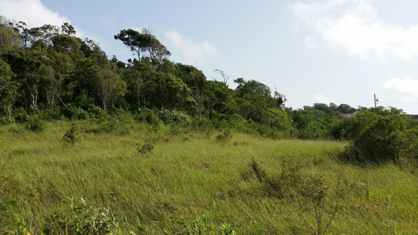 Fifth image of 158 Moorlands Manor Estate, m in Moorlands Phase1&2, Manchester, Jamaica - property is For Sale