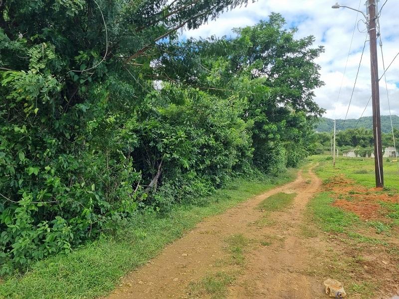 Second image of Land Part of Palm Distric in Linstead, St. Catherine, Jamaica - property is For Sale