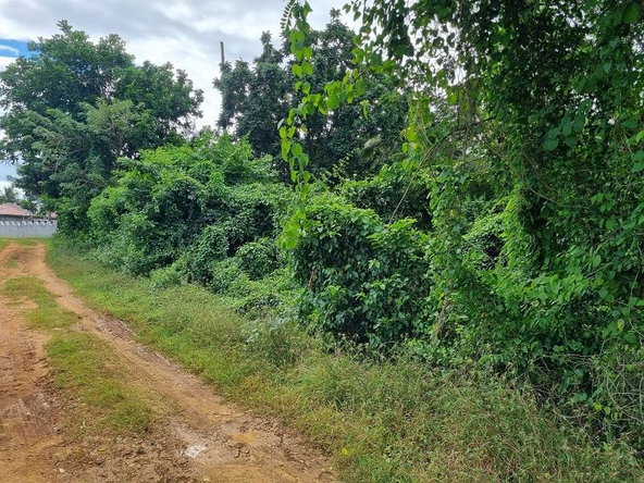 Third image of Land Part of Palm Distric in Linstead, St. Catherine, Jamaica - property is For Sale