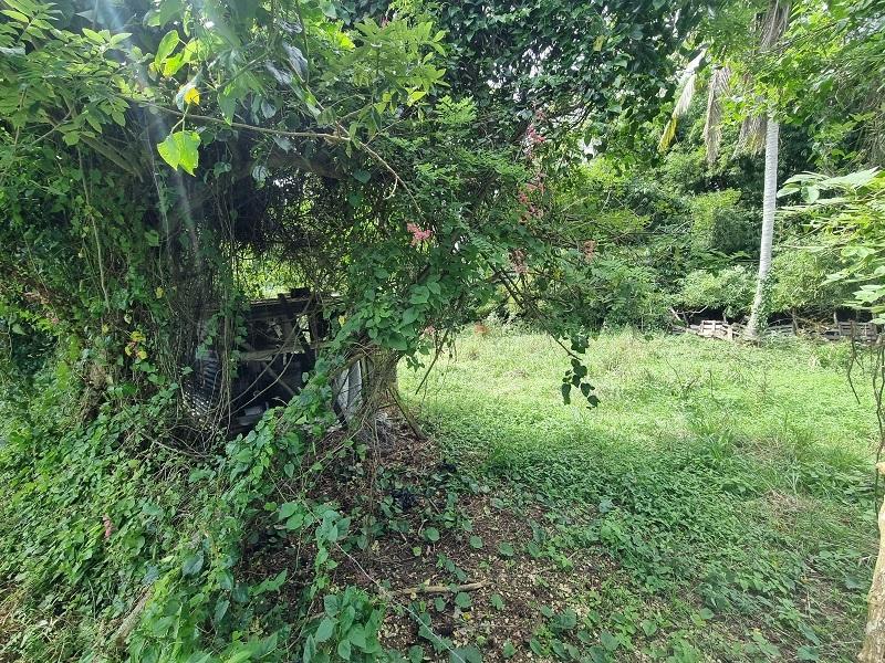 Fourth image of Land Part of Palm Distric in Linstead, St. Catherine, Jamaica - property is For Sale