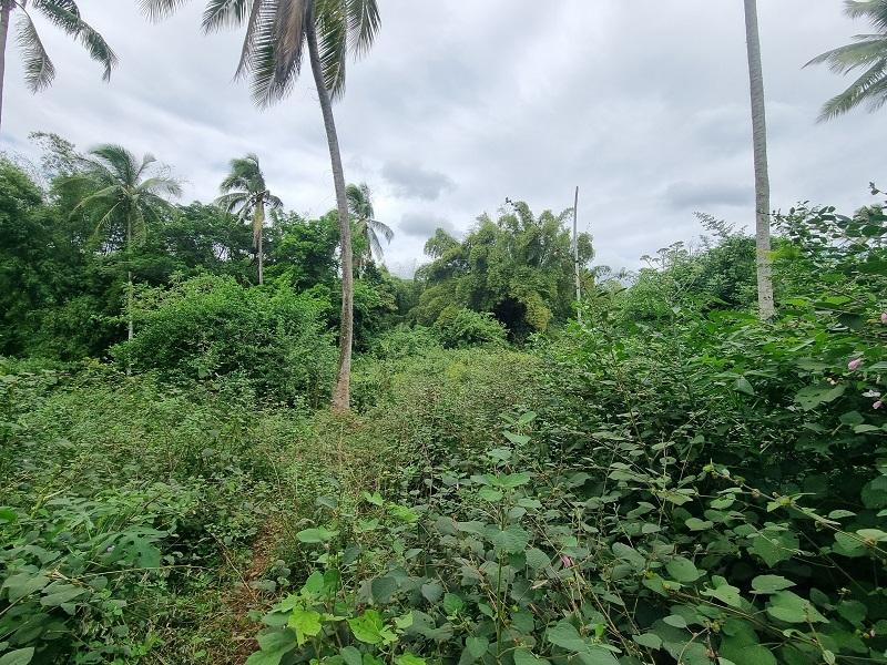 First image of Land Part of Palm Distric in Linstead, St. Catherine, Jamaica - property is For Sale