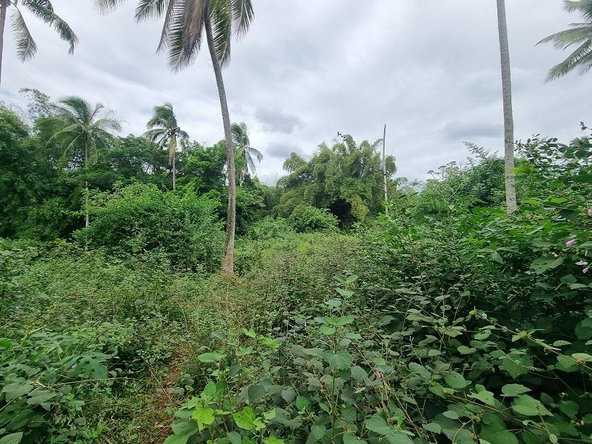 First image of Land Part of Palm Distric in Linstead, St. Catherine, Jamaica - property is For Sale