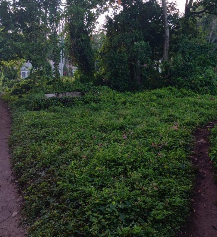 Second image of Porus, Manchester. in Porus, Manchester, Jamaica - property is For Sale