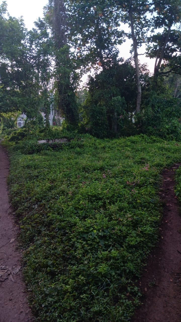 Residential-Lot-for-Sale-in-Porus-Manchester-Jamaica-–-Unique-Vacant-Land-Opportunity Third image of Porus, Manchester. in Porus, Manchester, Jamaica - property is For Sale