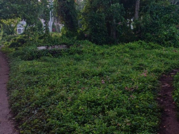 First image of Porus, Manchester. in Porus, Manchester, Jamaica - property is For Sale