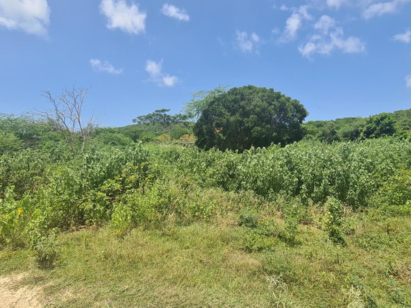Fifteenth image of Rosehall Boulevard in Freetown, Clarendon, Jamaica - property is For Sale
