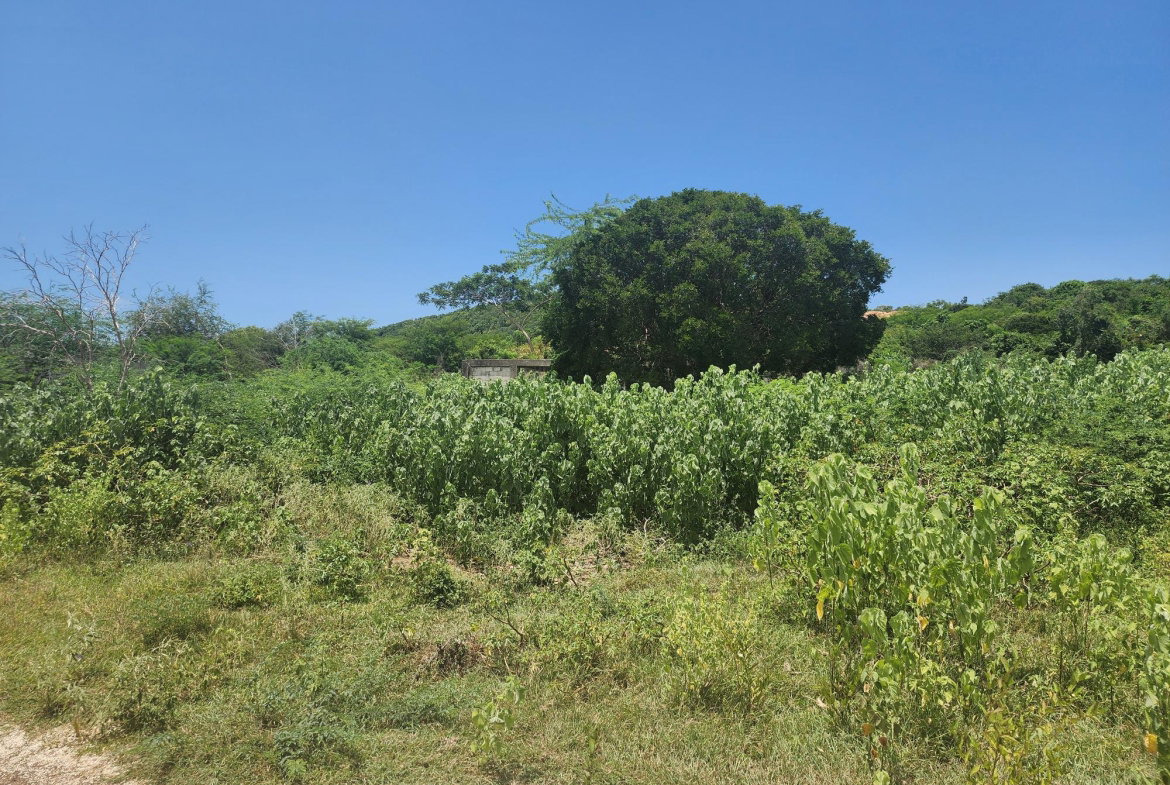 Sixteenth image of Rosehall Boulevard in Freetown, Clarendon, Jamaica - property is For Sale