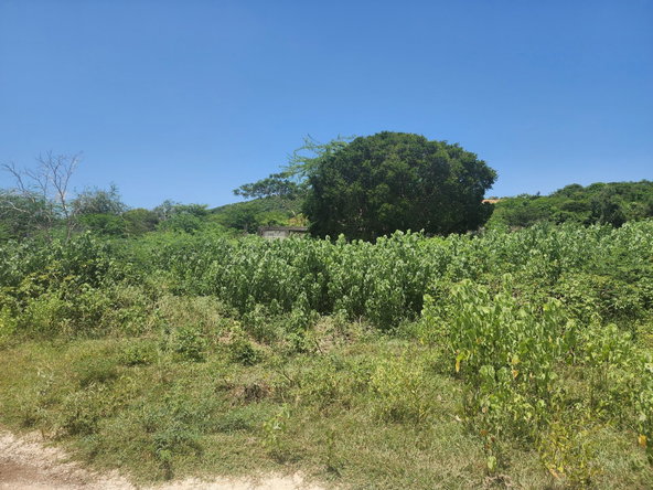 Sixteenth image of Rosehall Boulevard in Freetown, Clarendon, Jamaica - property is For Sale