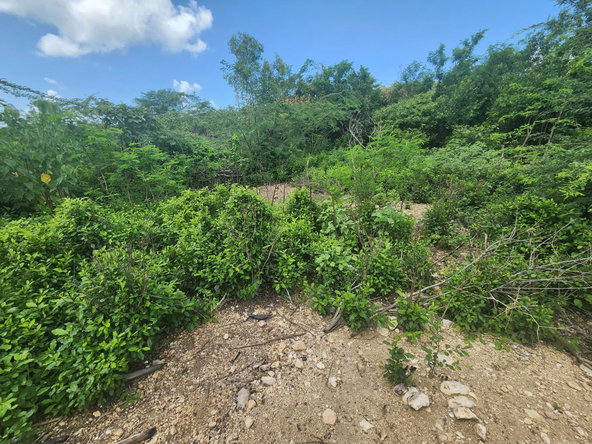 Sixth image of Rosehall Boulevard in Freetown, Clarendon, Jamaica - property is For Sale