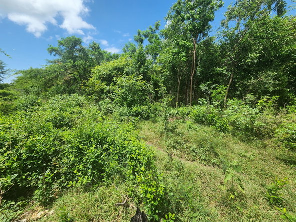 Eighth image of Rosehall Boulevard in Freetown, Clarendon, Jamaica - property is For Sale