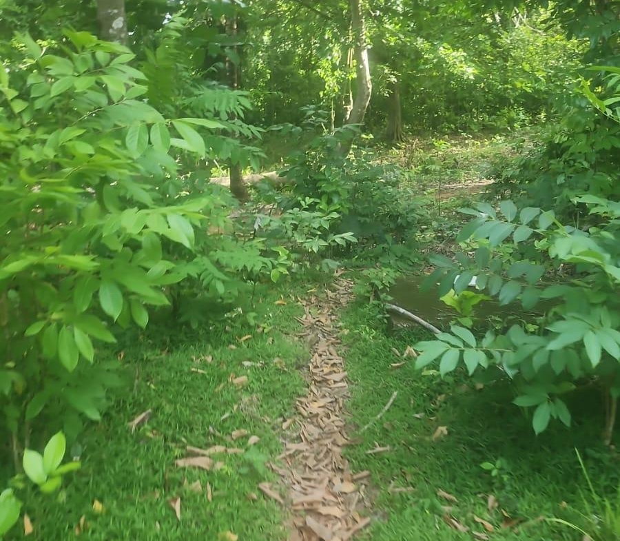 Second image of Navarre Lane, Seaforth, s in Seaforth, St. Thomas, Jamaica - property is For Sale