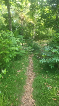 Second image of Navarre Lane, Seaforth, s in Seaforth, St. Thomas, Jamaica - property is For Sale