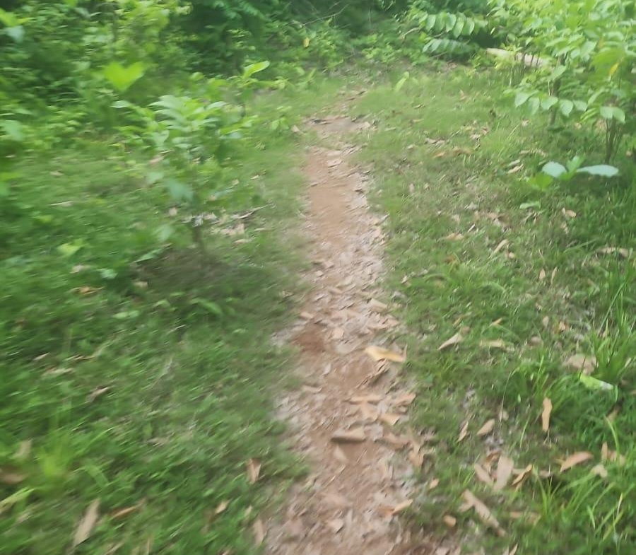 Fifth image of Navarre Lane, Seaforth, s in Seaforth, St. Thomas, Jamaica - property is For Sale