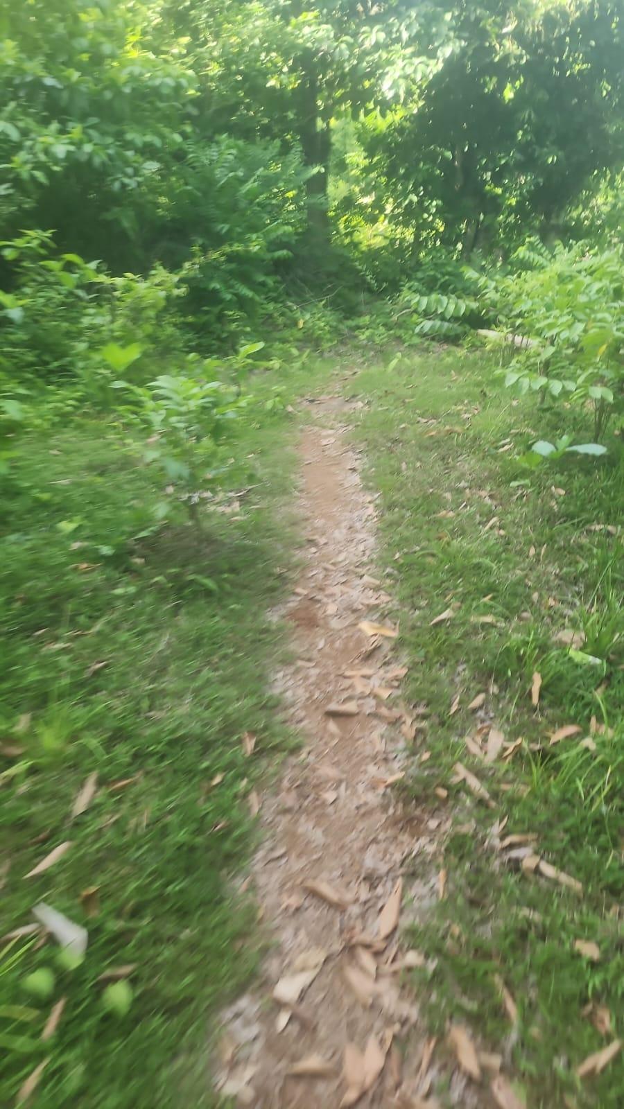 Fifth image of Navarre Lane, Seaforth, s in Seaforth, St. Thomas, Jamaica - property is For Sale