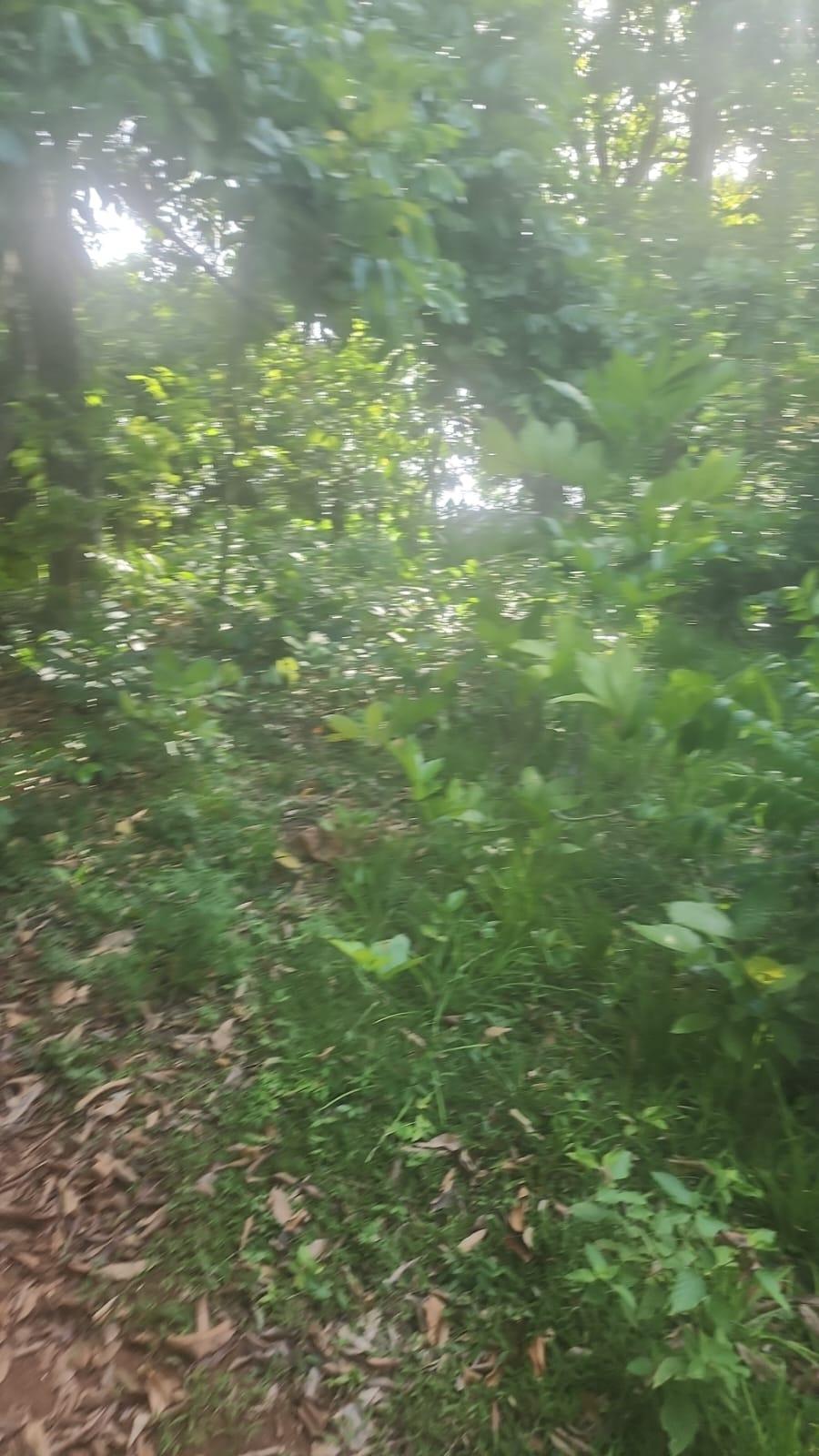 Sixth image of Navarre Lane, Seaforth, s in Seaforth, St. Thomas, Jamaica - property is For Sale
