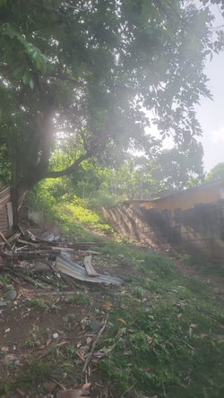 Seventh image of Navarre Lane, Seaforth, s in Seaforth, St. Thomas, Jamaica - property is For Sale