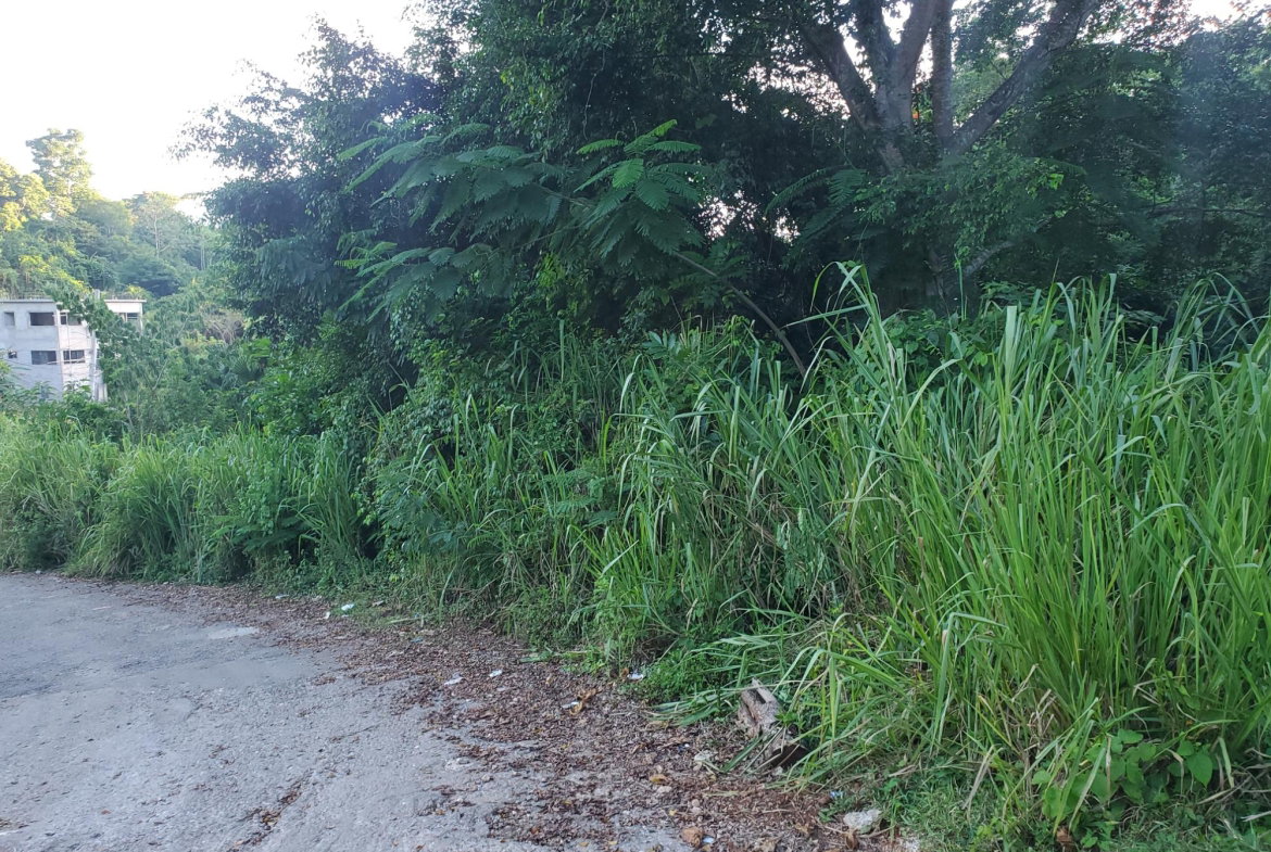 Second image of 5b- Maverly Mountain in Red Hills, St. Andrew, Jamaica - property is For Sale
