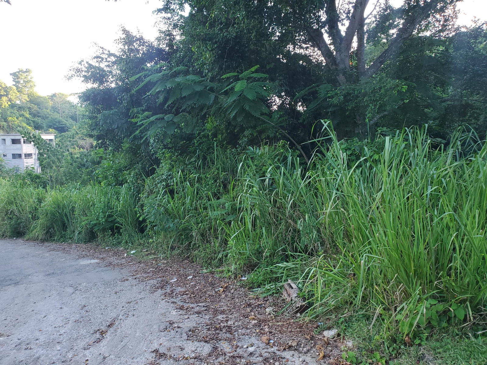 Residential-Lot-for-Sale-in-St.-Andrew-Jamaica-–-Panoramic-Views-5b-Maverly-Mountain Second image of 5b- Maverly Mountain in Red Hills, St. Andrew, Jamaica - property is For Sale