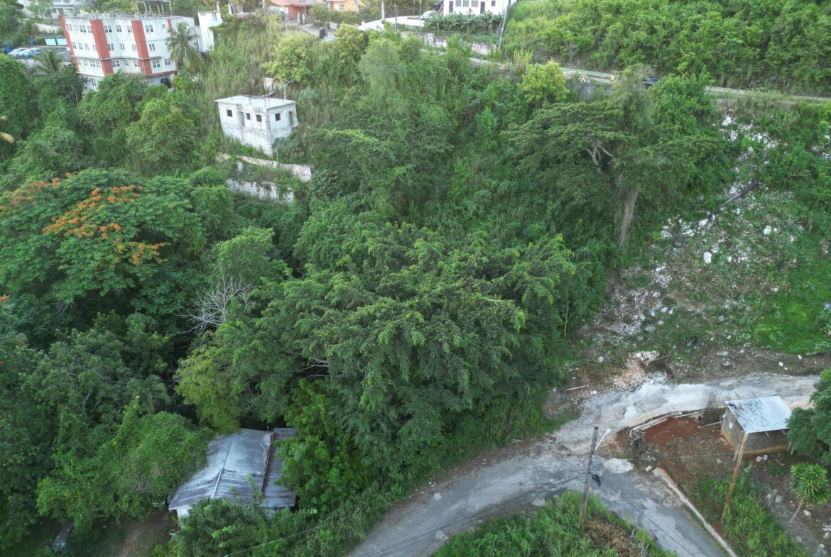 Fifth image of 5b- Maverly Mountain in Red Hills, St. Andrew, Jamaica - property is For Sale