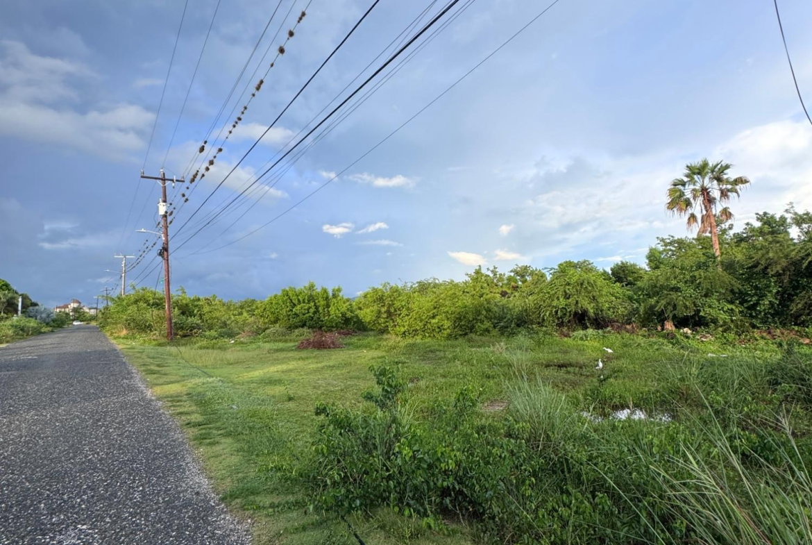 Third image of Lot-112 Fullerswood in Fullerswood, St. Elizabeth, Jamaica - property is For Sale