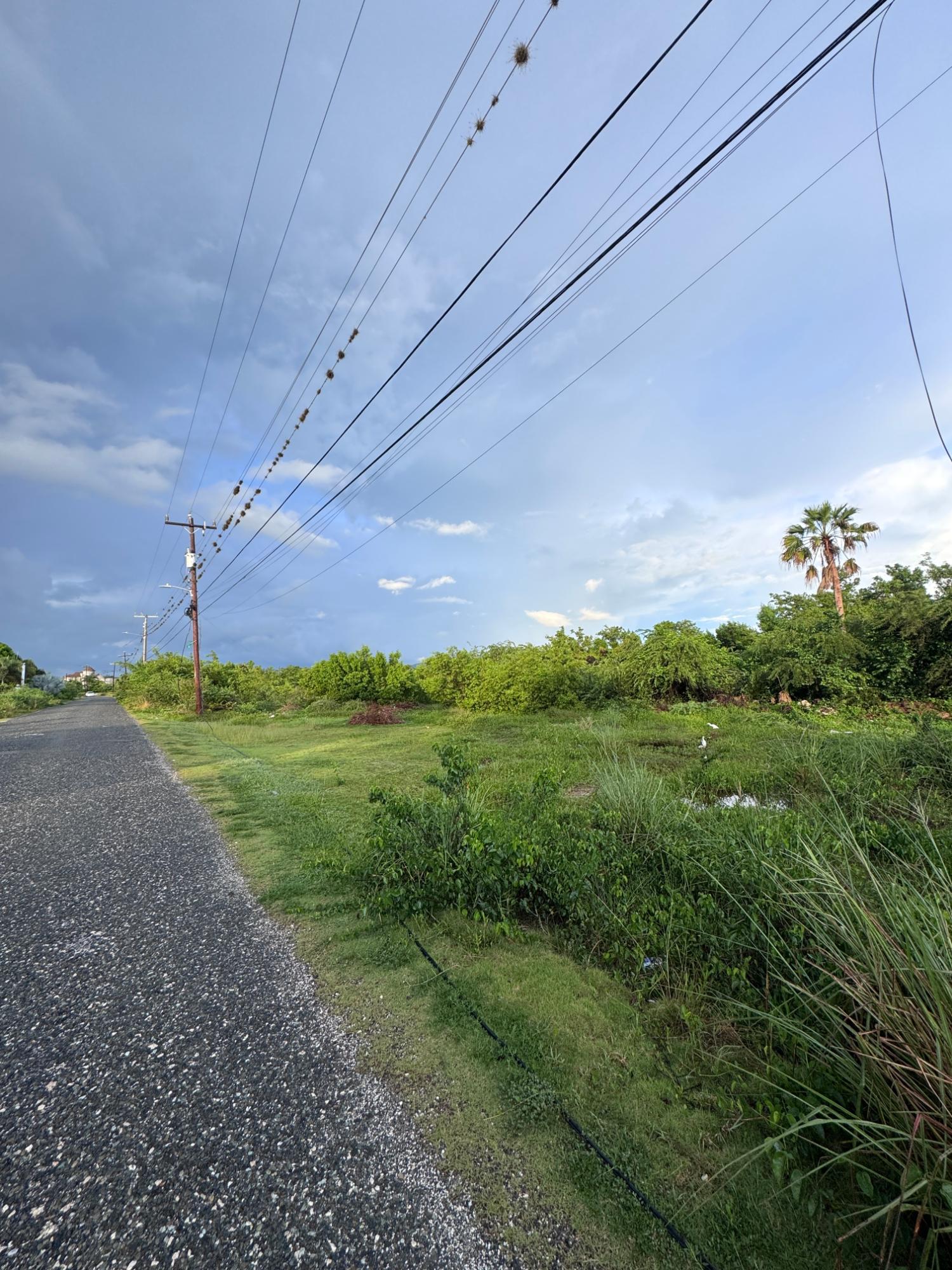 Third image of Lot-112 Fullerswood in Fullerswood, St. Elizabeth, Jamaica - property is For Sale