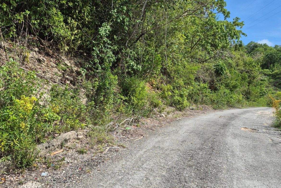 Second image of Block C-lot 120 Alpine Way in Albion, St. Thomas, Jamaica - property is For Sale