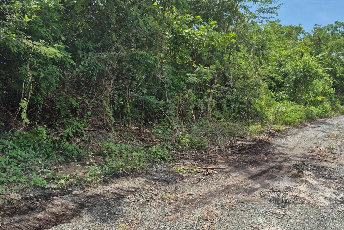 Third image of Block C-lot 120 Alpine Way in Albion, St. Thomas, Jamaica - property is For Sale