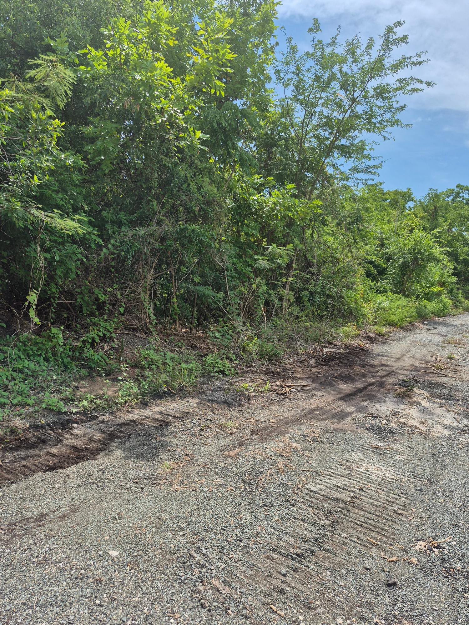 Third image of Block C-lot 120 Alpine Way in Albion, St. Thomas, Jamaica - property is For Sale