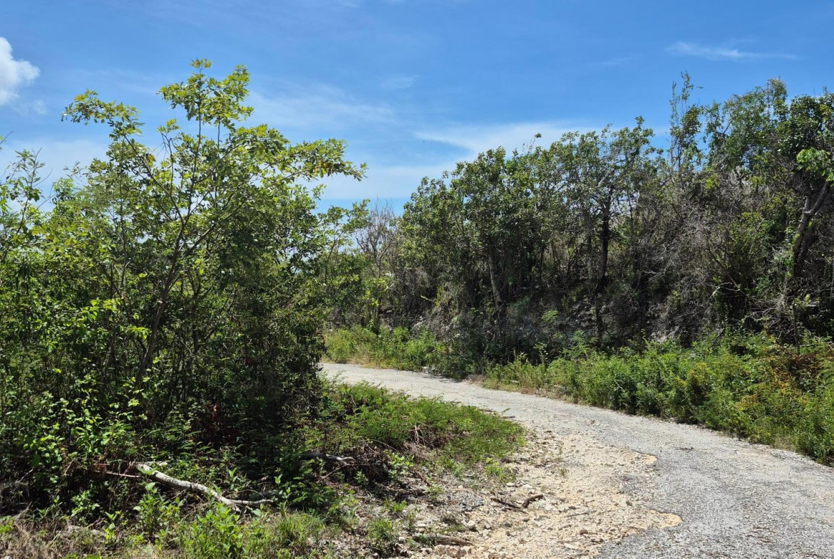 Fourth image of Block C-lot 120 Alpine Way in Albion, St. Thomas, Jamaica - property is For Sale