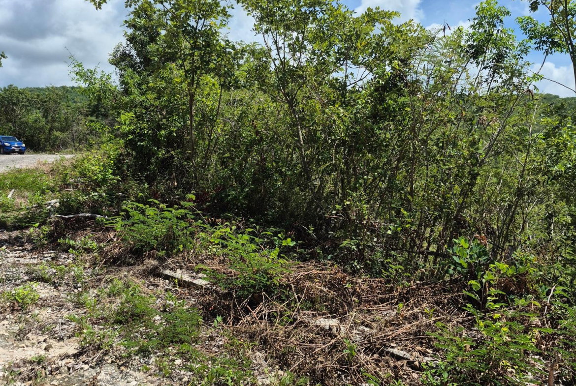 Third image of Block A-lot 98 Santa Cruz Road in Albion, St. Thomas, Jamaica - property is For Sale