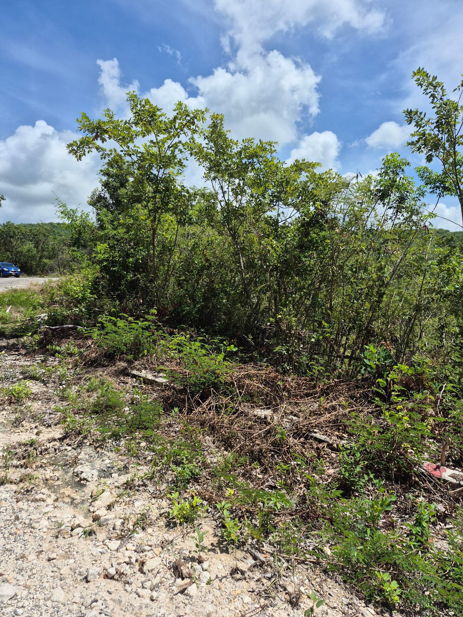 Third image of Block A-lot 98 Santa Cruz Road in Albion, St. Thomas, Jamaica - property is For Sale