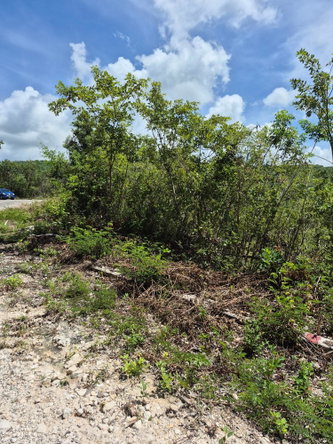 Third image of Block A-lot 98 Santa Cruz Road in Albion, St. Thomas, Jamaica - property is For Sale