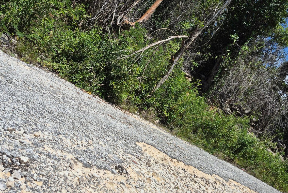 Fourth image of Block A-lot 98 Santa Cruz Road in Albion, St. Thomas, Jamaica - property is For Sale