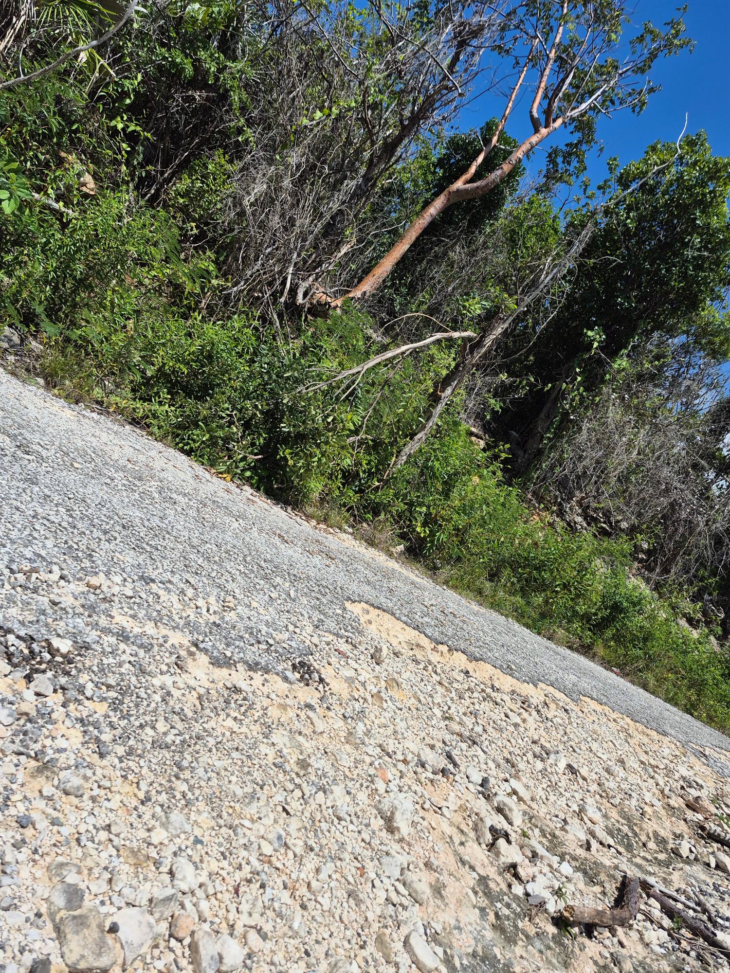 Fourth image of Block A-lot 98 Santa Cruz Road in Albion, St. Thomas, Jamaica - property is For Sale