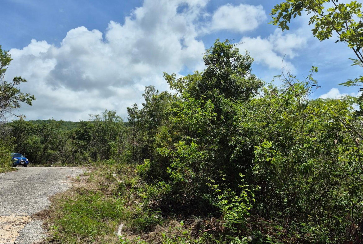 Fifth image of Block A-lot 98 Santa Cruz Road in Albion, St. Thomas, Jamaica - property is For Sale