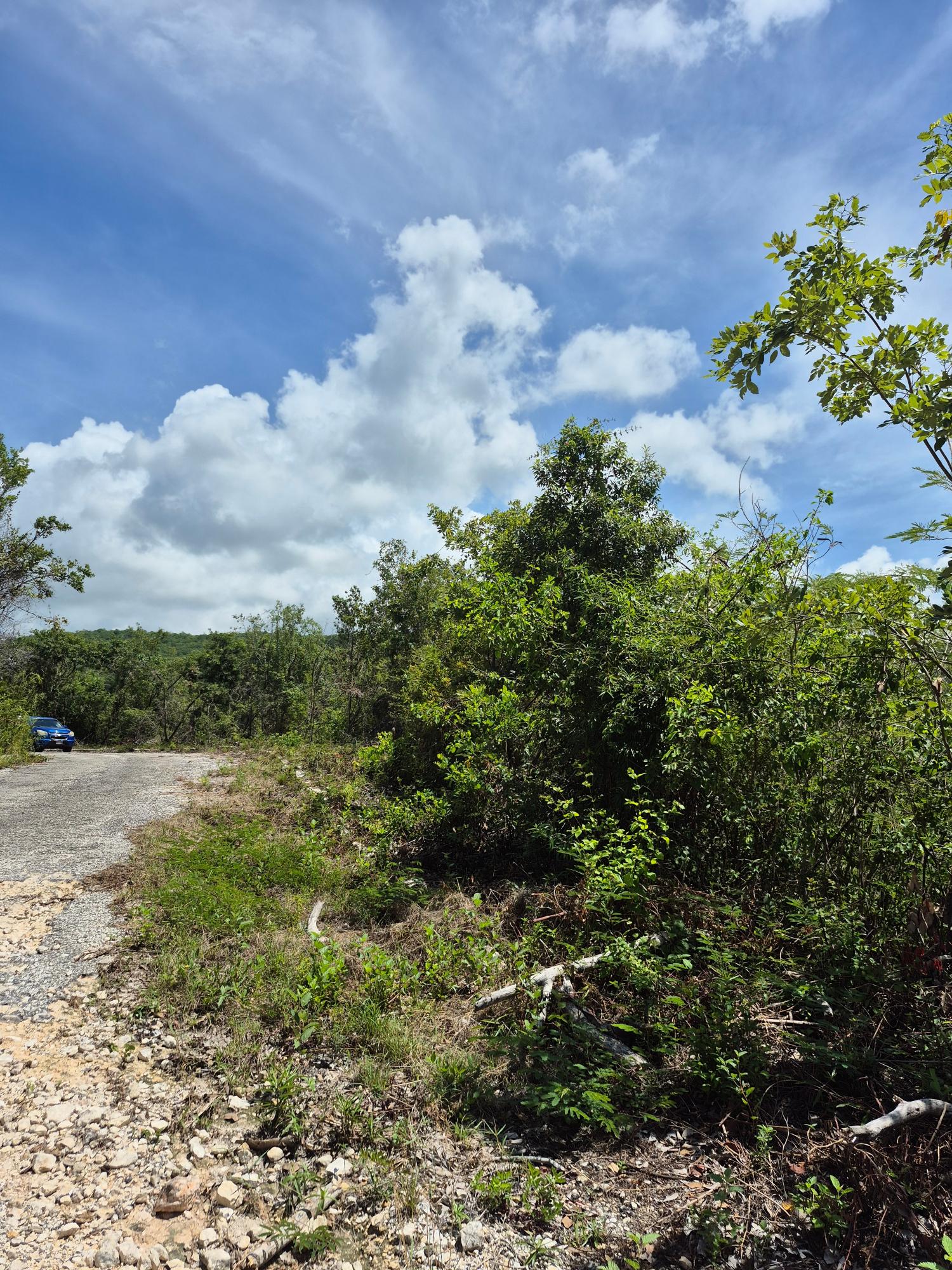 Fifth image of Block A-lot 98 Santa Cruz Road in Albion, St. Thomas, Jamaica - property is For Sale
