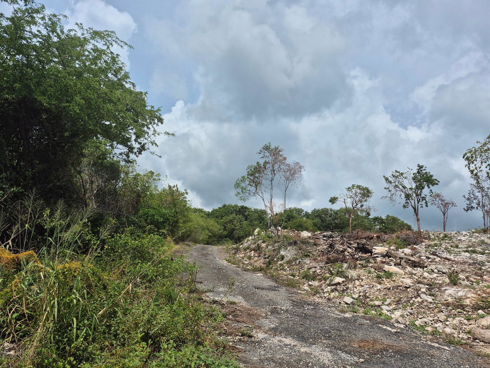 Third image of Block C-lot 115c Alpine Way in Albion, St. Thomas, Jamaica - property is For Sale