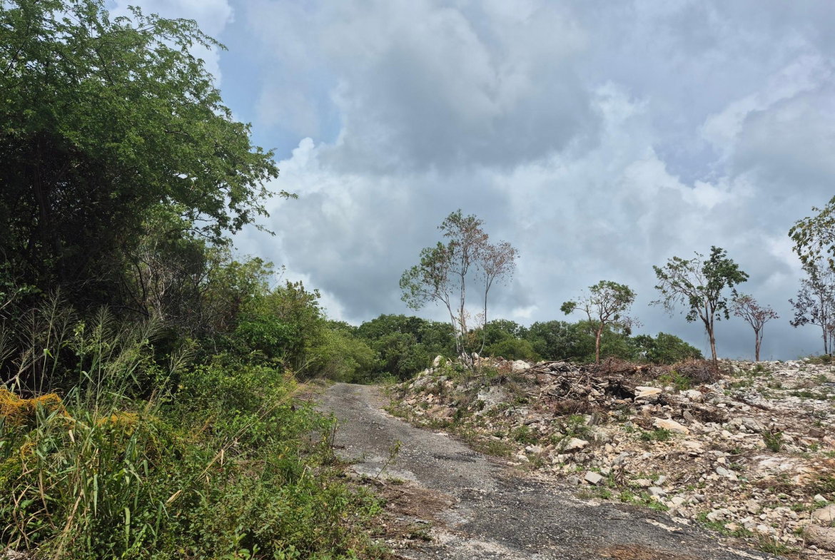 Sixth image of Block C-lot 115c Alpine Way in Albion, St. Thomas, Jamaica - property is For Sale